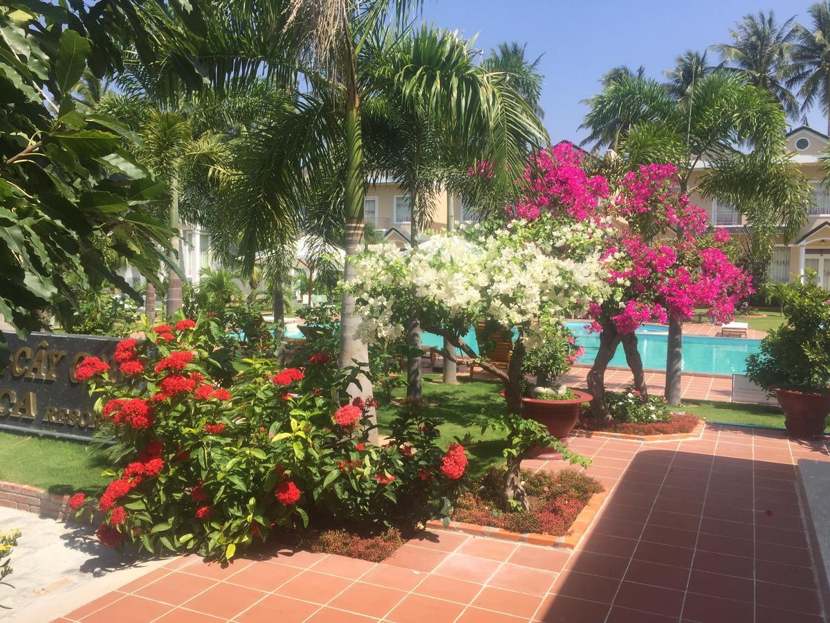 Areca Resort Муйне Экстерьер фото